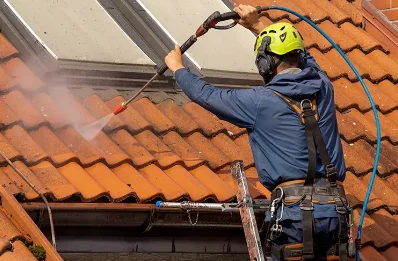 Démoussage et hydrofuge de toiture à Arceau